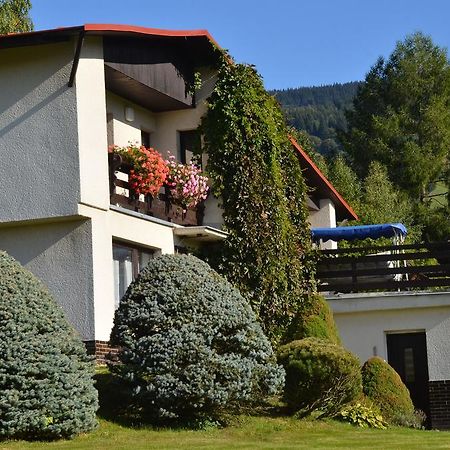 Apartman Braun Rokytnice nad Jizerou Δωμάτιο φωτογραφία
