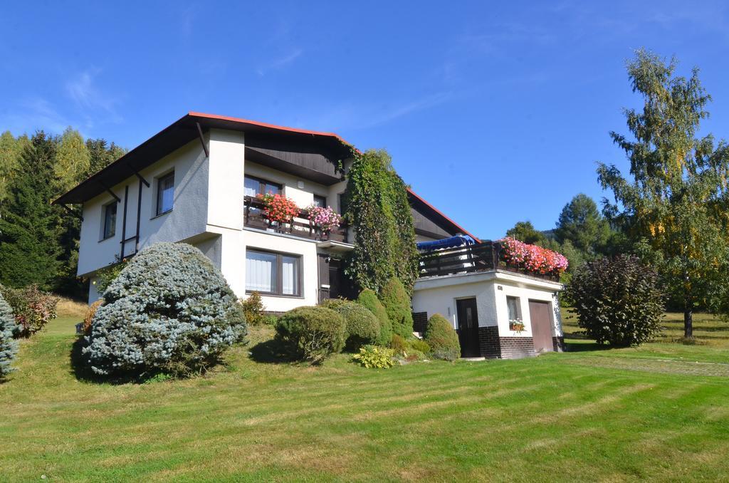 Apartman Braun Rokytnice nad Jizerou Δωμάτιο φωτογραφία