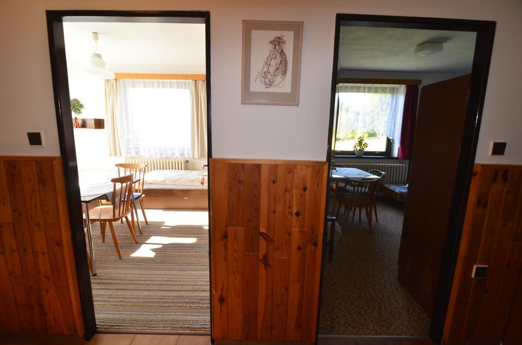 Apartman Braun Rokytnice nad Jizerou Δωμάτιο φωτογραφία