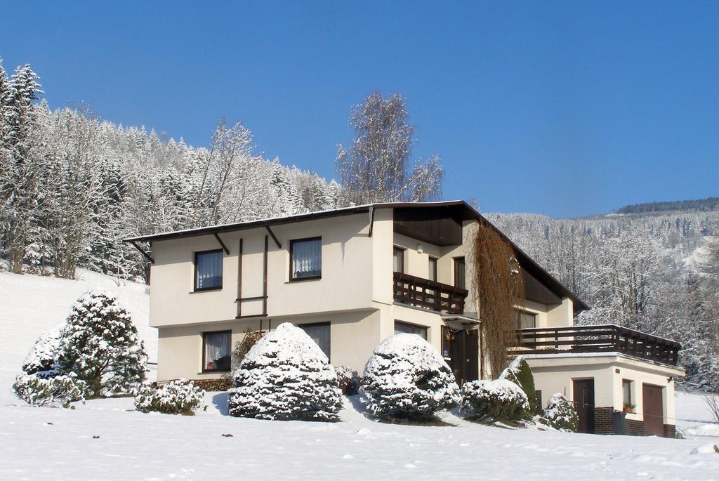 Apartman Braun Rokytnice nad Jizerou Δωμάτιο φωτογραφία