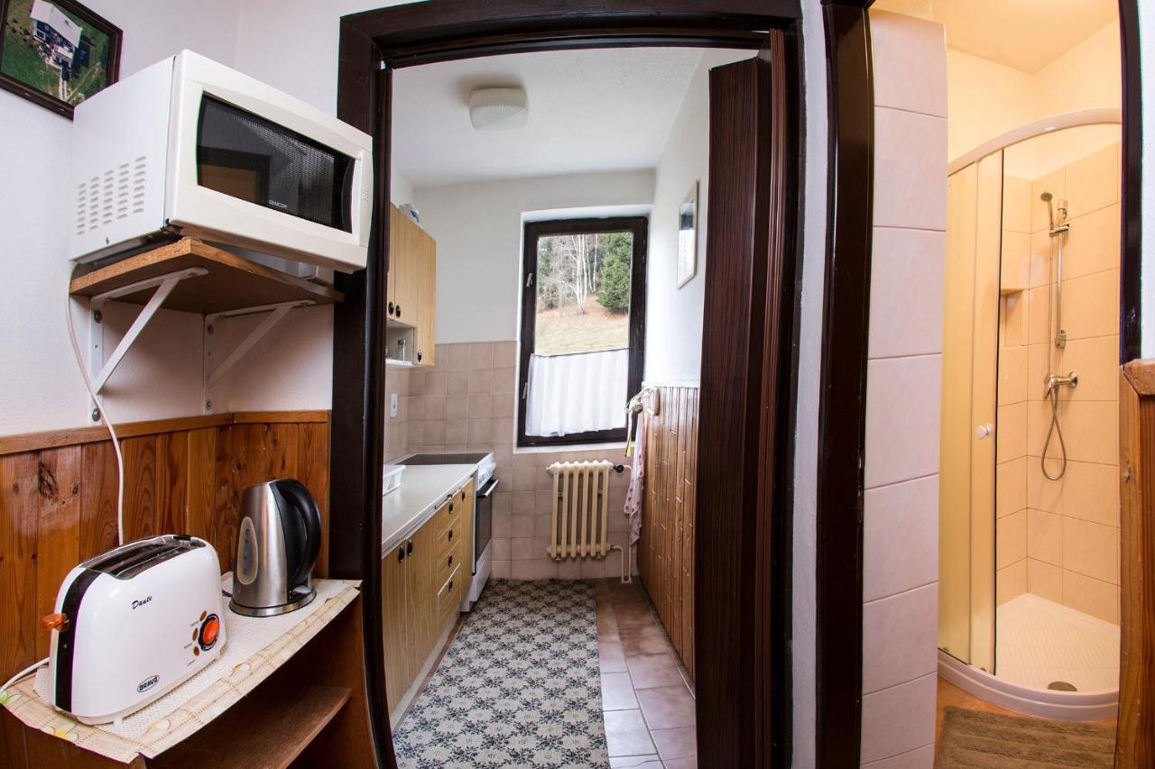 Apartman Braun Rokytnice nad Jizerou Εξωτερικό φωτογραφία