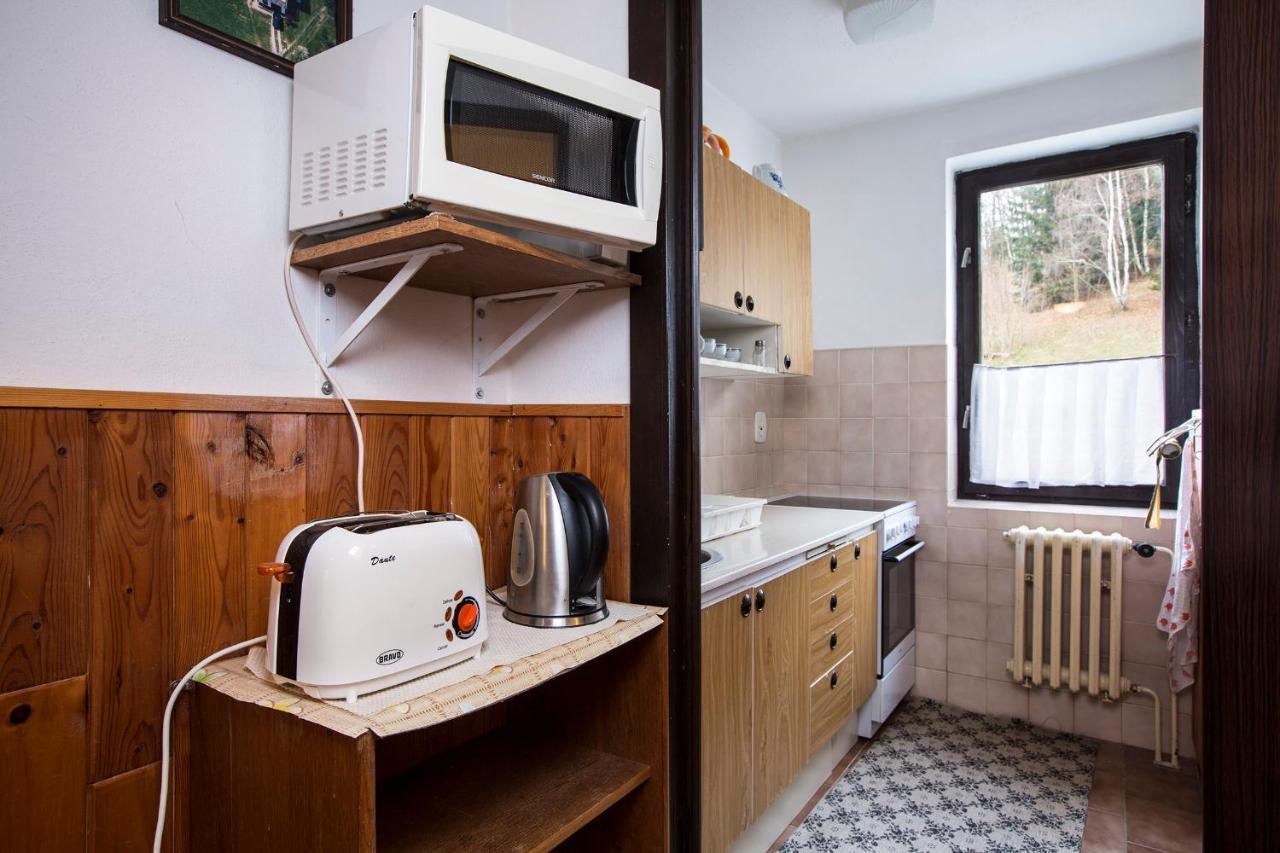 Apartman Braun Rokytnice nad Jizerou Εξωτερικό φωτογραφία